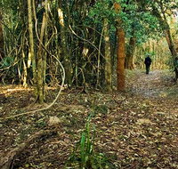 Sand track walk north - Rental Cars
