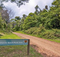 Antarctic Beech picnic area - Rental Cars