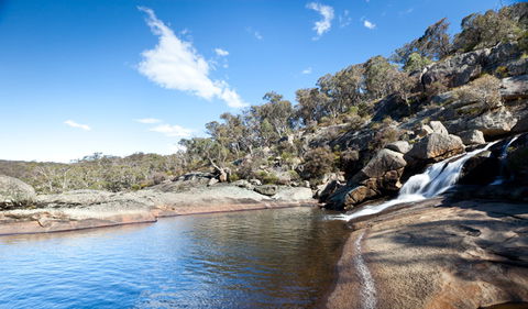 Wadbilliga National Park - Rental Cars 1