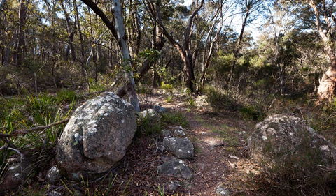 Wadbilliga National Park - Rental Cars 2