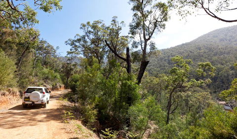 Wadbilliga National Park - Rental Cars 3