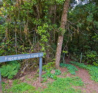 Falcorostrum loop walking track - Rental Cars