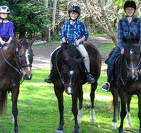 Kings Creek Saddle Club - Rental Cars