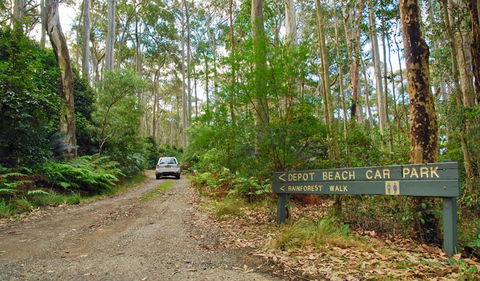 Depot Beach Rainforest Walk - Rental Cars 1