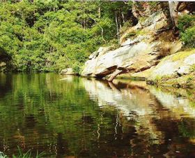 Numinbah Valley Adventure Trails - Rental Cars 1