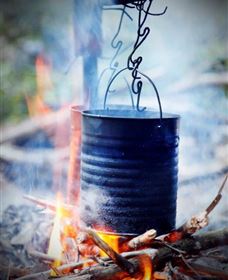 Numinbah Valley Adventure Trails - Rental Cars 2