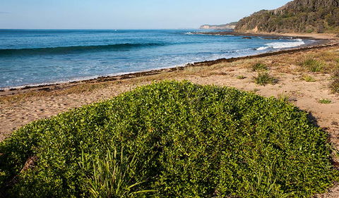 Richmond Beach - Rental Cars 0