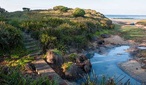 Richmond Beach - Rental Cars 1