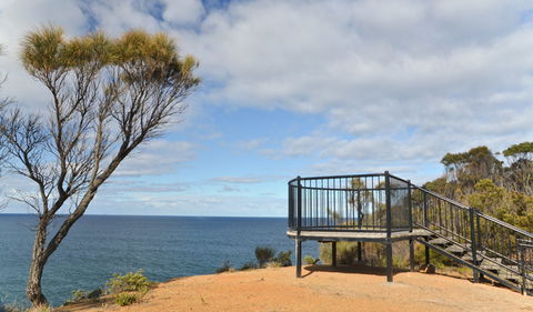North Head Lookout - Rental Cars 0