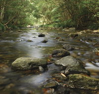 Plateau Circuit loop trail - Rental Cars