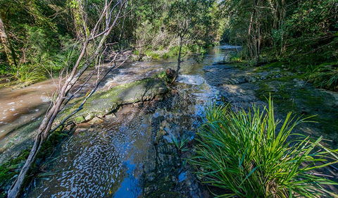 Dawson River Walking Track - Rental Cars 0