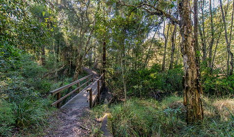 Dawson River Walking Track - Rental Cars 1