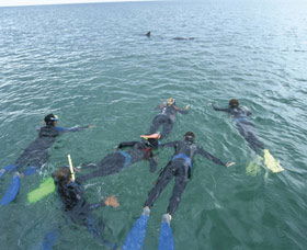 Dolphin Discovery Centre - Rental Cars 2