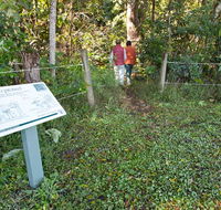 Coramba Nature Reserve - Rental Cars