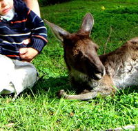 Bunbury Wildlife Park - Rental Cars