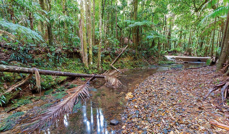 Karangi NSW Rental Cars