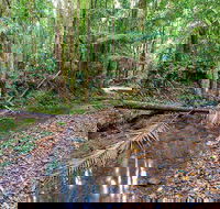 Ulidarra National Park - Rental Cars