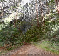 End Peak walking track - Rental Cars
