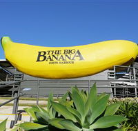 The Big Banana - Rental Cars