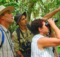 Falls walking track - Rental Cars