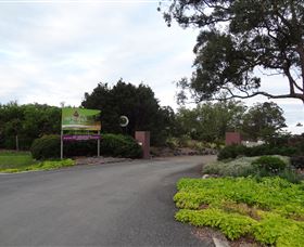 Abundance Lifestyle And Garden - Rental Cars 2