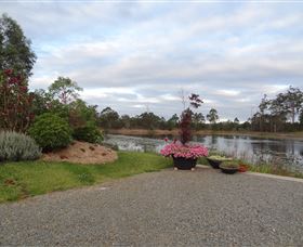 Abundance Lifestyle And Garden - Rental Cars 3
