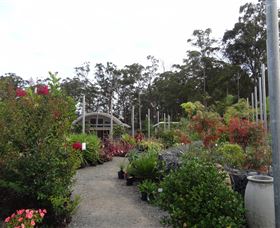 Abundance Lifestyle And Garden - Rental Cars 6