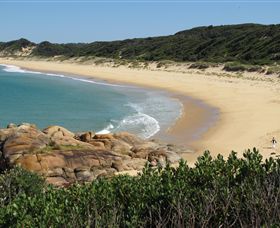 Cape Conran Nature Trail - Rental Cars 1