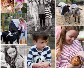 Roses Vineyard And Animal Farm - Rental Cars 1