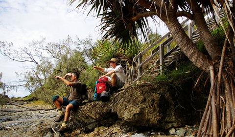 Illaroo To Wooli Walking Track - Rental Cars 1
