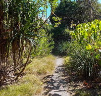 North Head walking track