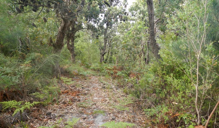 Hat Head NSW Rental Cars