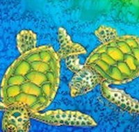 Sea Silks Gallery - Rental Cars