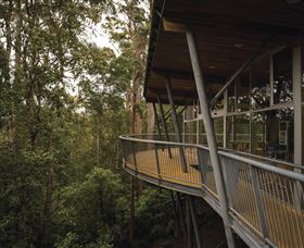 Tarkine Forest Adventures - Dismal Swamp - Rental Cars 0