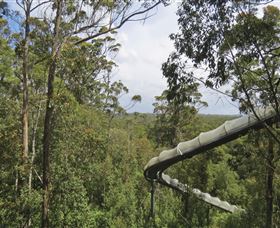 Tarkine Forest Adventures - Dismal Swamp - Rental Cars 1