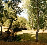 Oldina Picnic Area - Rental Cars