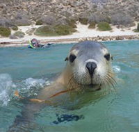 Calypso Star Charters - Rental Cars