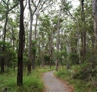 Caboolture Regional Environment Education Centre - Walking Trails - Rental Cars