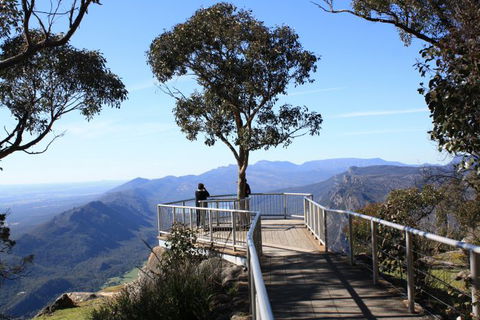 Australian Natural Treasures Touring - Rental Cars 8