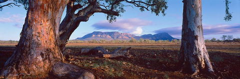 Nissarana Galleries Noosa - Rental Cars 1