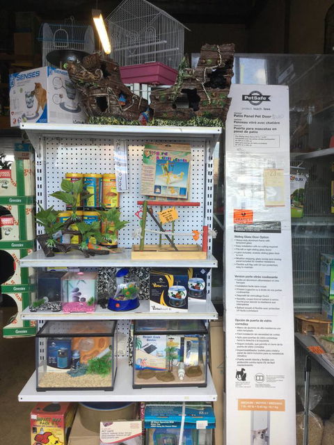 Port Stephens Pet Barn - Rental Cars 2