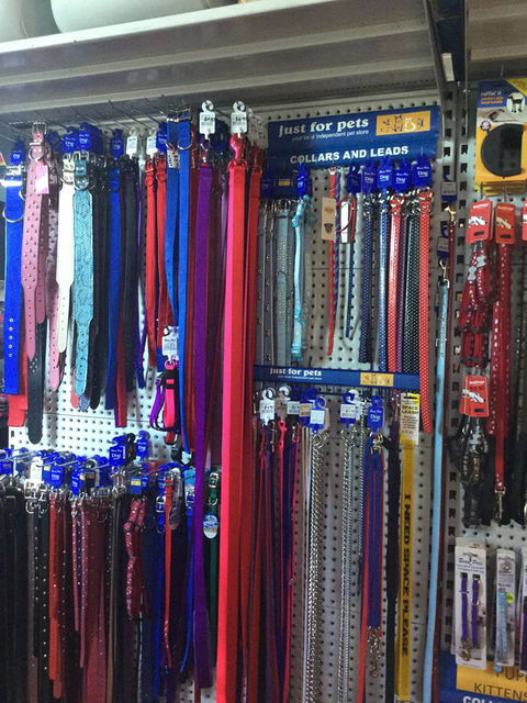 Port Stephens Pet Barn - Rental Cars 3