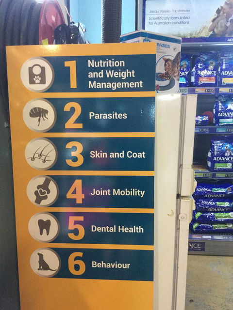 Port Stephens Pet Barn - Rental Cars 4