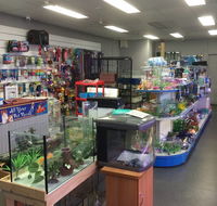 Nambour Pet Shop - Rental Cars