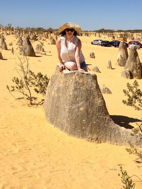 Pinnacles Desert, Koalas And Sandboarding 4WD Day Tour From Perth - Rental Cars 18