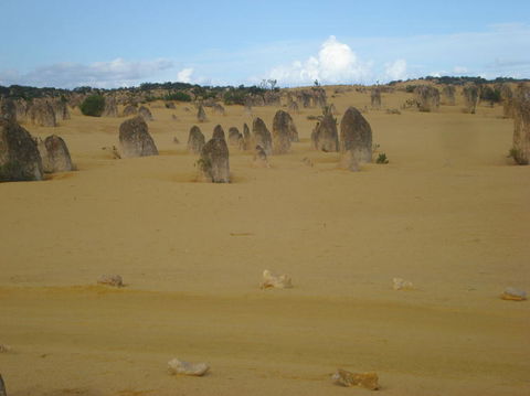 Pinnacles Desert, Koalas And Sandboarding 4WD Day Tour From Perth - Rental Cars 23