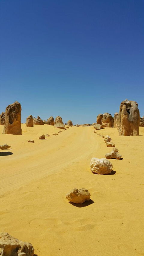 Pinnacles Desert, Koalas And Sandboarding 4WD Day Tour From Perth - Rental Cars 3