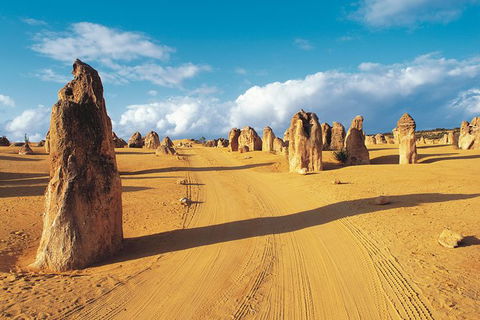 Pinnacles Desert, Koalas And Sandboarding 4WD Day Tour From Perth - Rental Cars 0