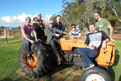 1/2 Day Swan Valley Wine Cheese & Chocolate Tour Inc Afternoon Cruise To Perth - Rental Cars 8