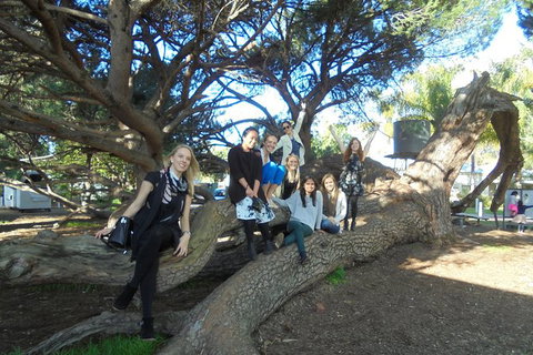 1/2 Day Swan Valley Wine Cheese & Chocolate Tour Inc Afternoon Cruise To Perth - Rental Cars 10